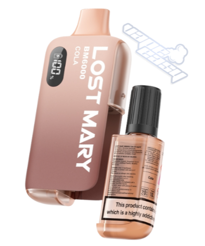 LOSTMARY - BM6000 - Prefilled Pod Kits